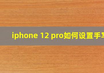 iphone 12 pro如何设置手写